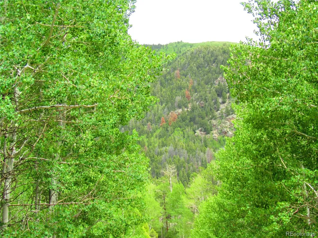 Lot 6295 Malcolm Road San Luis CO 81152