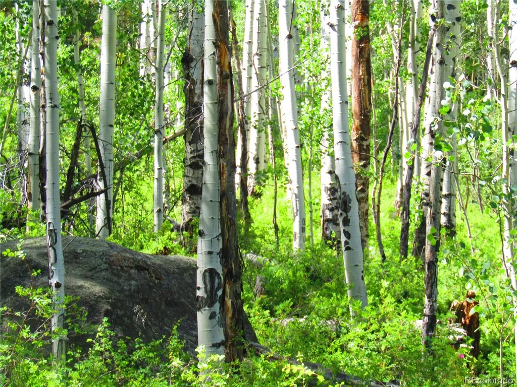 Lot 6295 Malcolm Road San Luis CO 81152