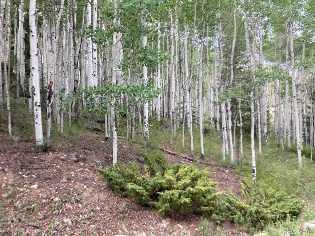 Lot 6295 Malcolm Road San Luis CO 81152