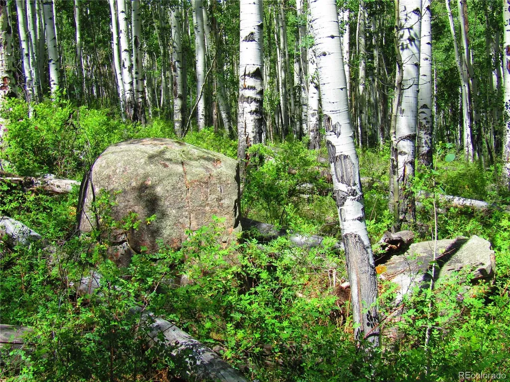 Lot 6295 Malcolm Road San Luis CO 81152