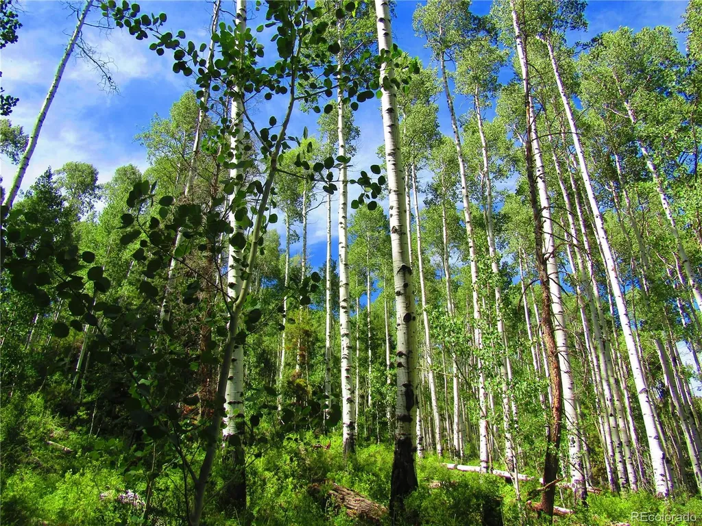 Lot 6295 Malcolm Road San Luis CO 81152