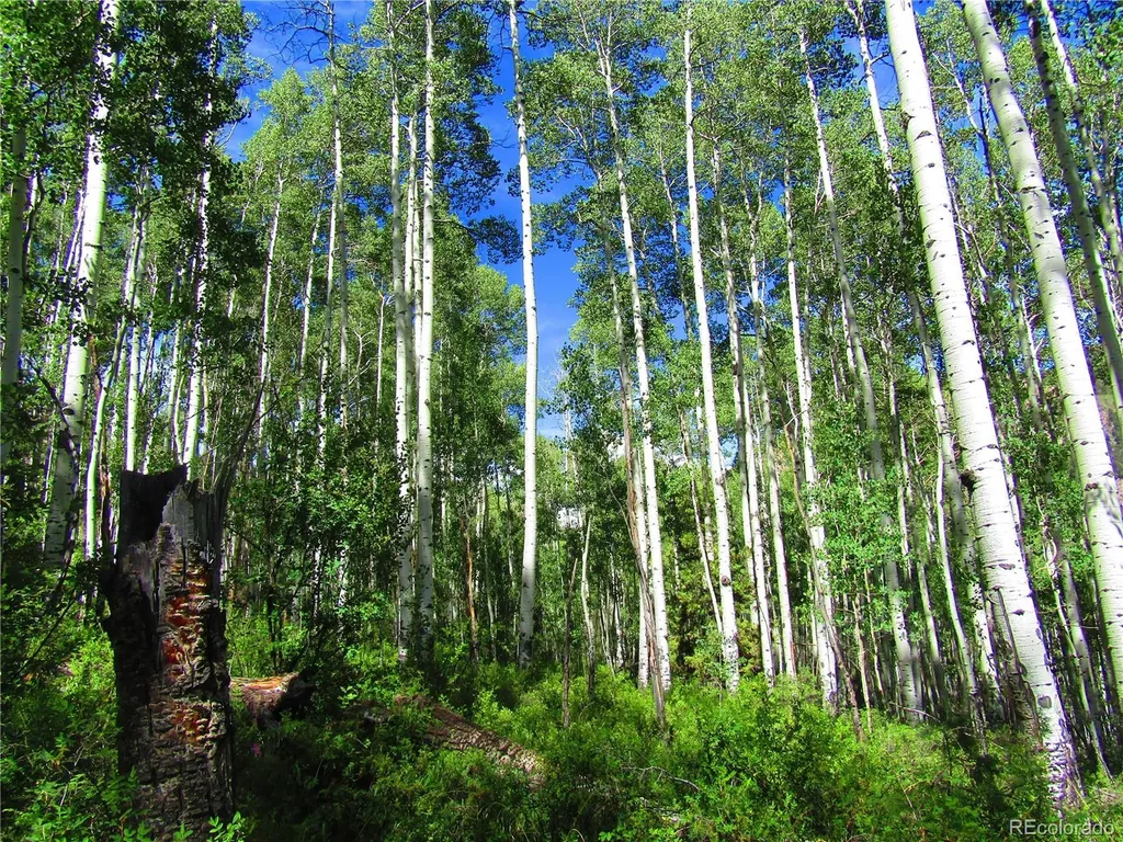 Lot 6295 Malcolm Road San Luis CO 81152