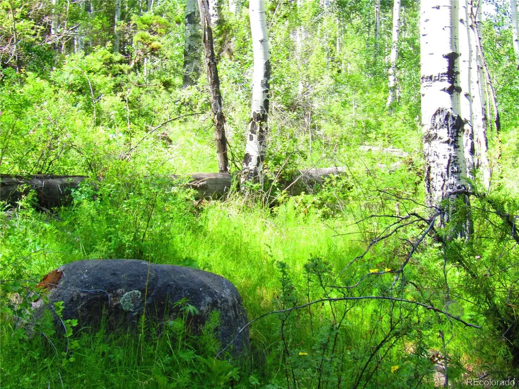 Lot 6295 Malcolm Road San Luis CO 81152