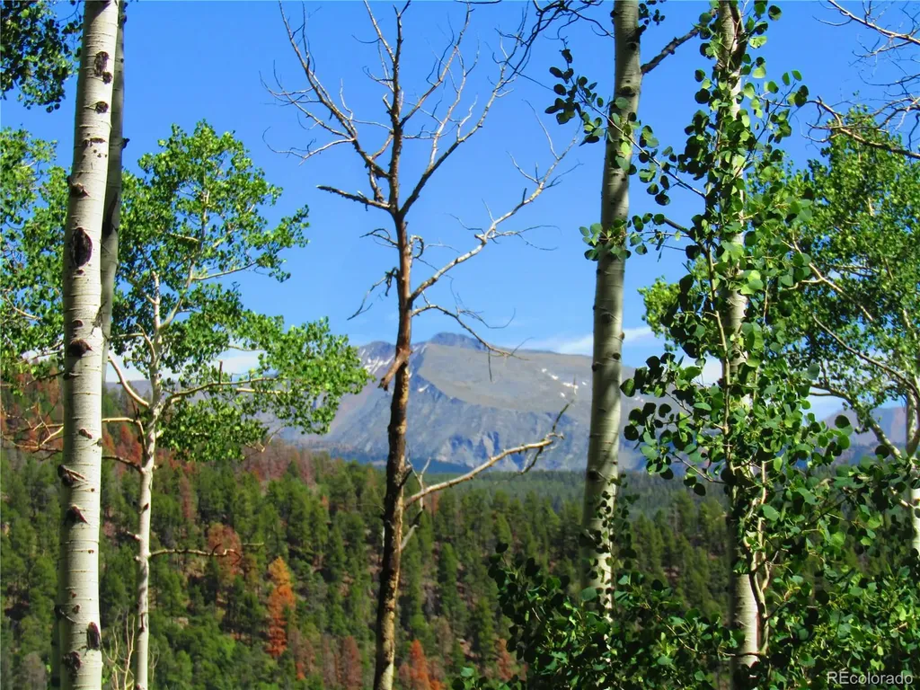 Lot 6295 Malcolm Road San Luis CO 81152