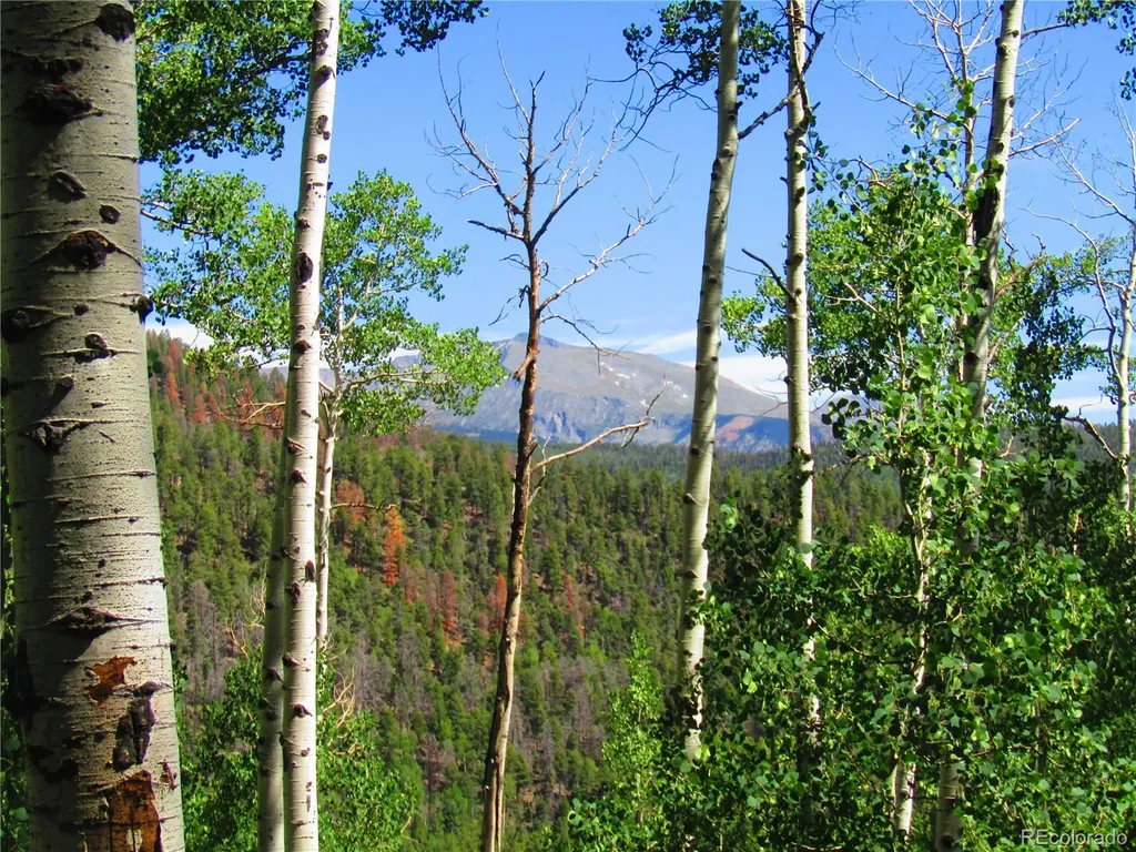 Lot 6295 Malcolm Road San Luis CO 81152