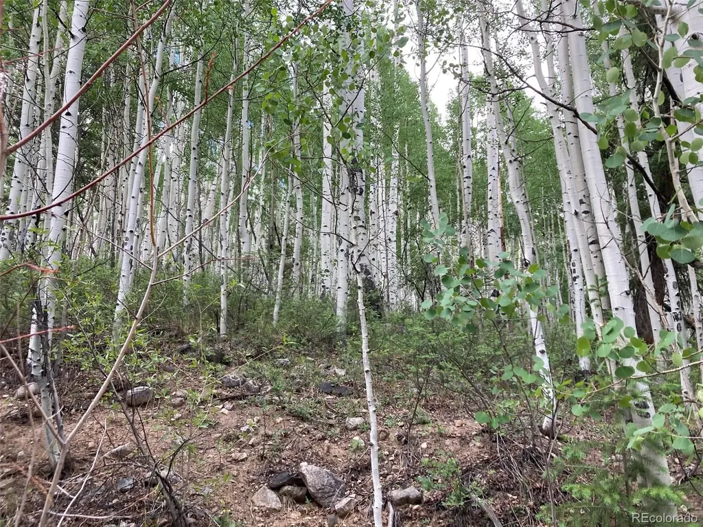 Lot 6295 Malcolm Road San Luis CO 81152
