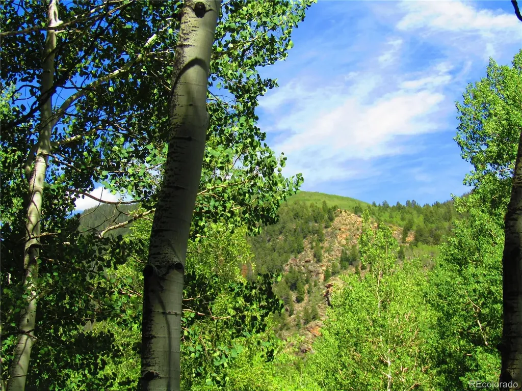 Lot 6295 Malcolm Road San Luis CO 81152