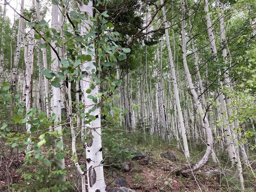 Lot 6295 Malcolm Road San Luis CO 81152