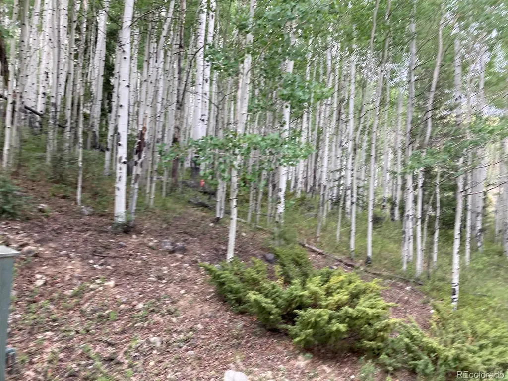 Lot 6295 Malcolm Road San Luis CO 81152