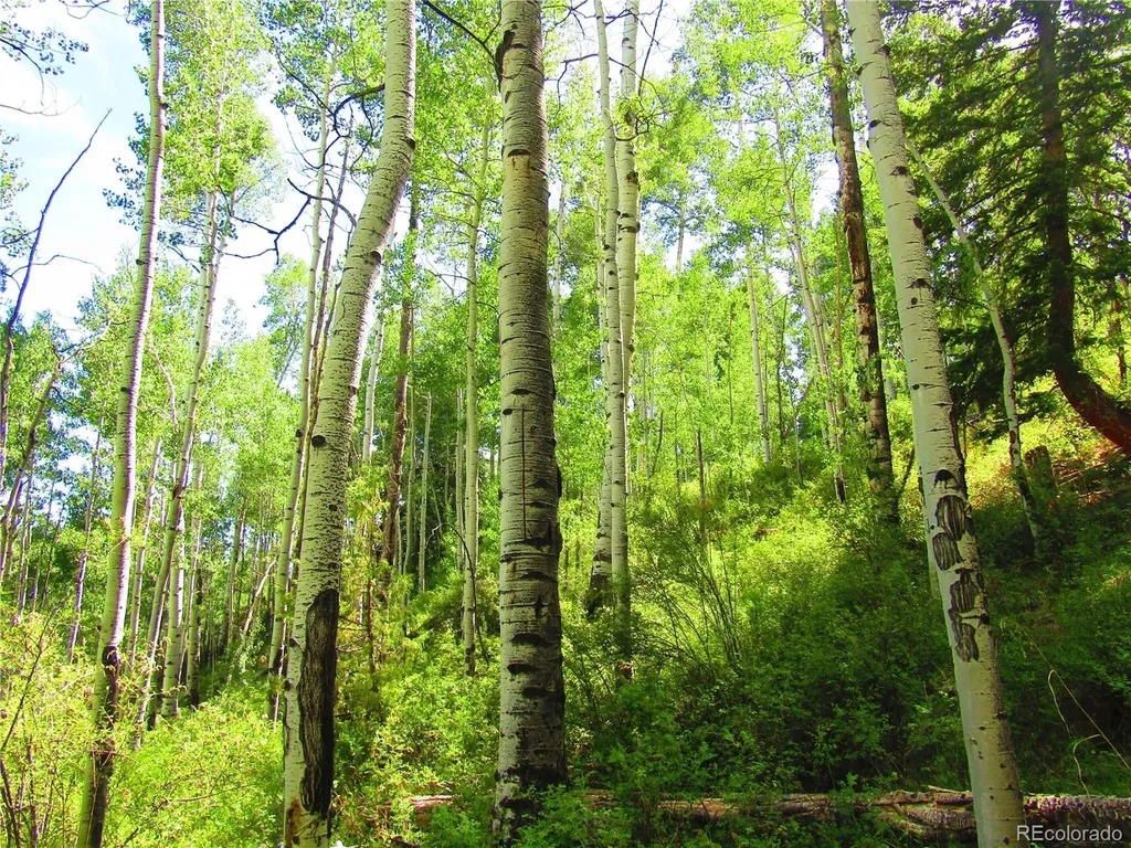 Lot 6295 Malcolm Road San Luis CO 81152