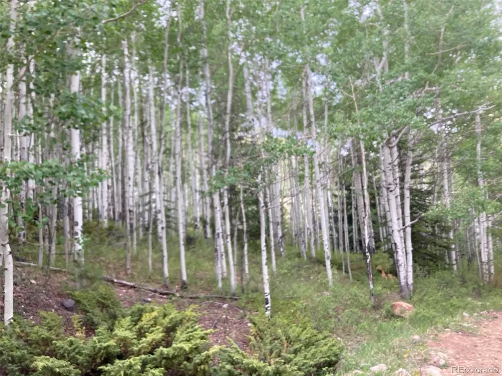 Lot 6295 Malcolm Road San Luis CO 81152
