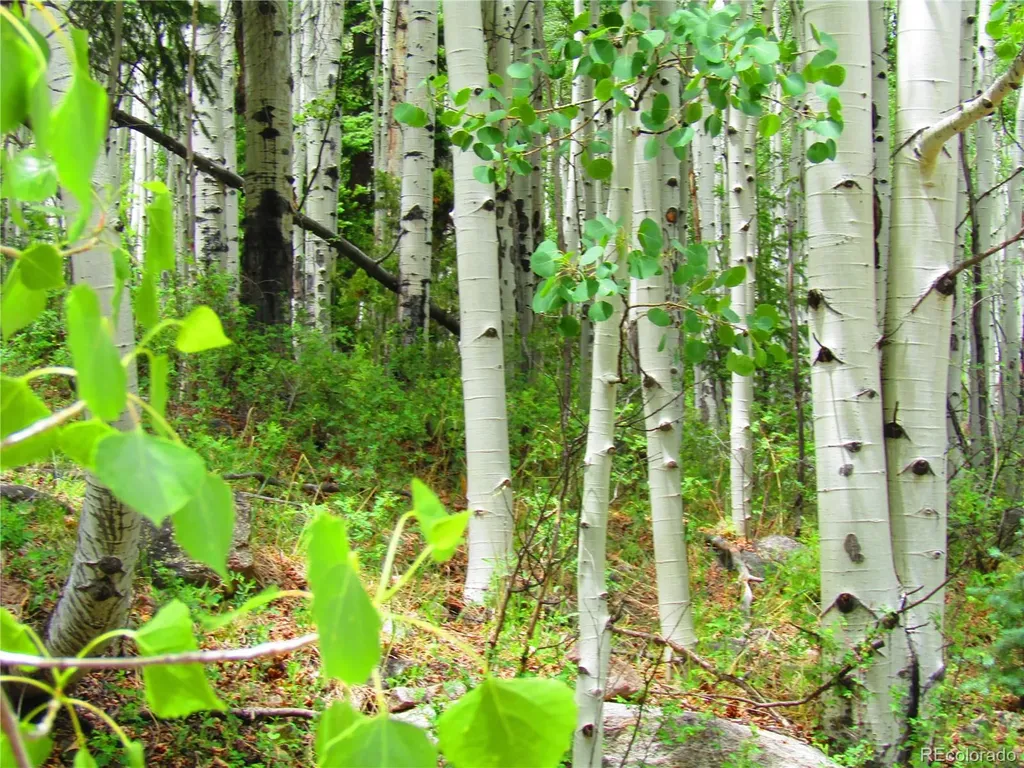 Lot 6295 Malcolm Road San Luis CO 81152