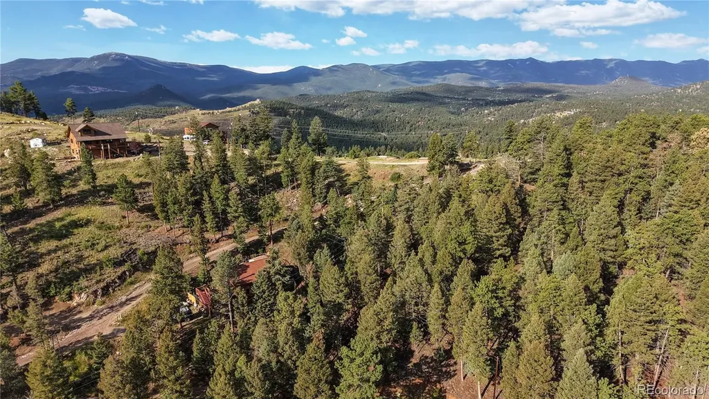 33476 La Plata Lane Pine CO 80470