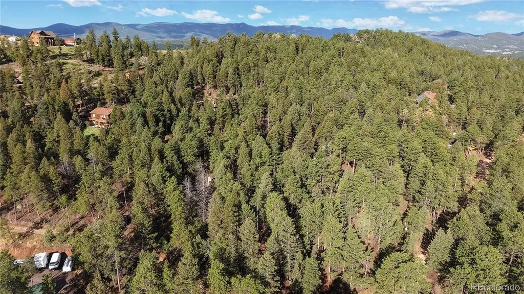 33476 La Plata Lane Pine CO 80470