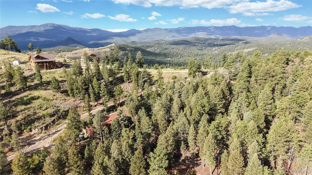 33476 La Plata Lane Pine CO 80470