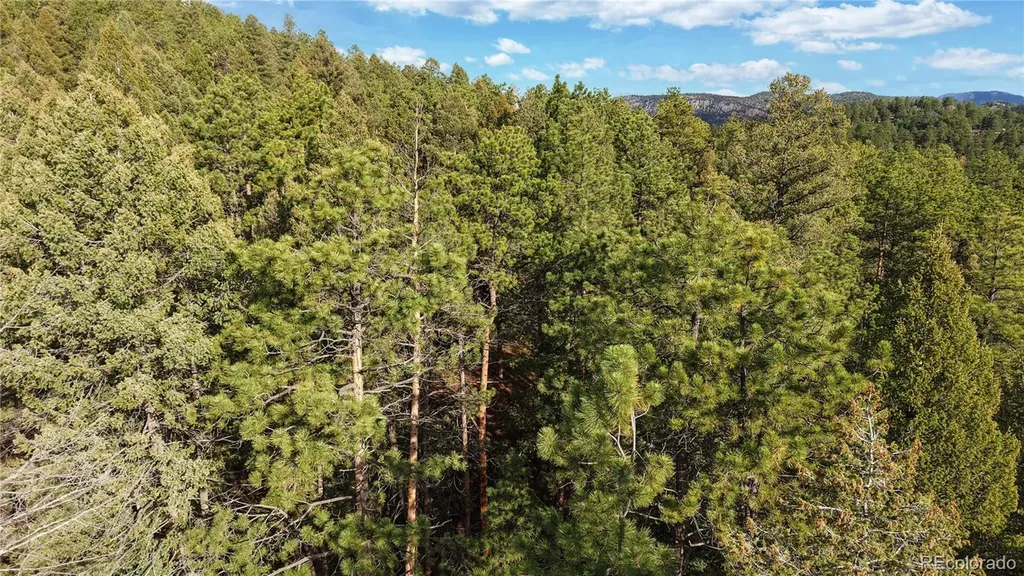 33476 La Plata Lane Pine CO 80470