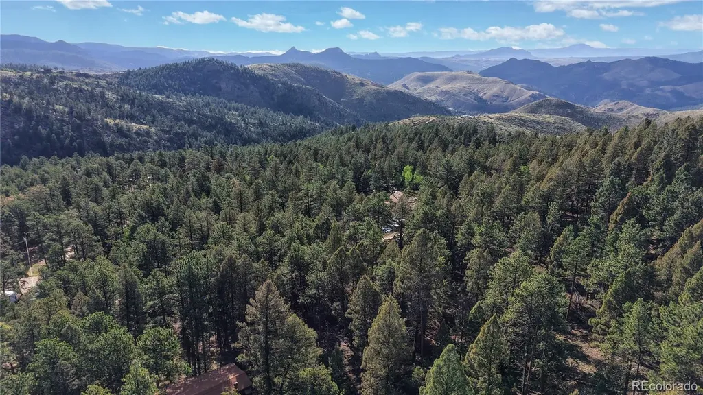 33476 La Plata Lane Pine CO 80470