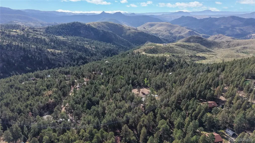 33476 La Plata Lane Pine CO 80470