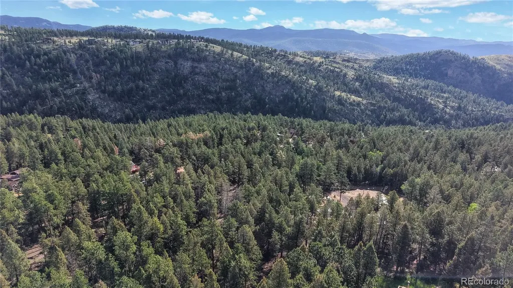 33476 La Plata Lane Pine CO 80470