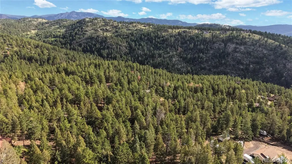 33476 La Plata Lane Pine CO 80470