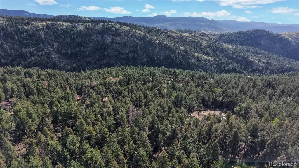 33476 La Plata Lane Pine CO 80470