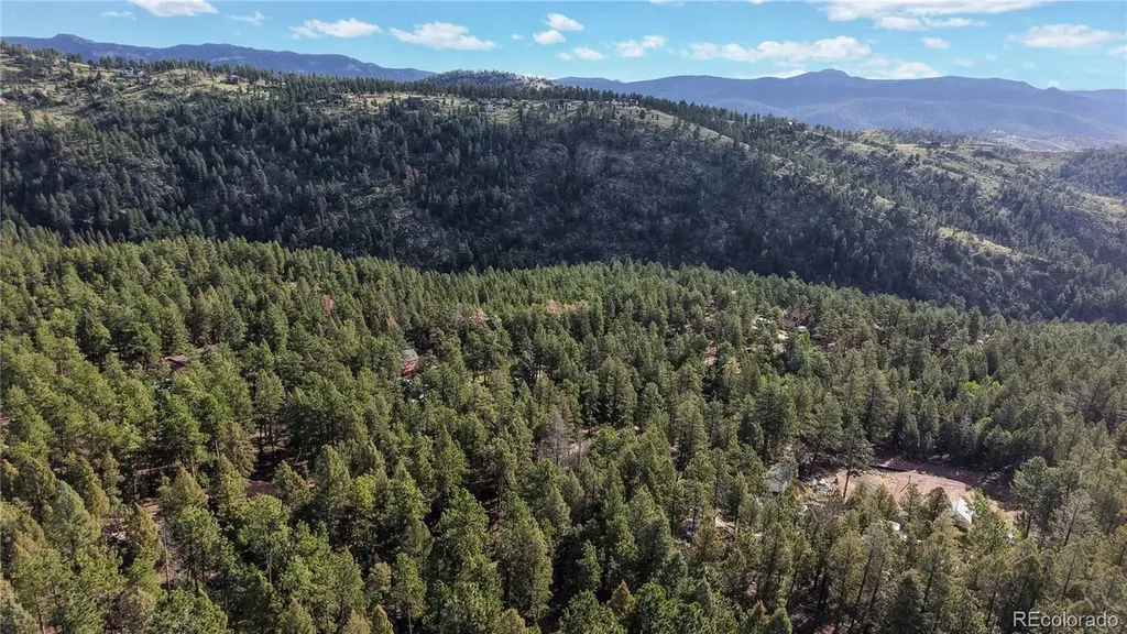 33476 La Plata Lane Pine CO 80470