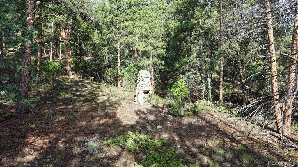 33476 La Plata Lane Pine CO 80470