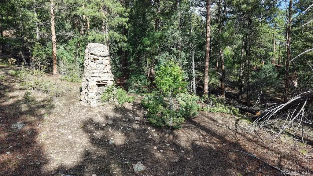 33476 La Plata Lane Pine CO 80470