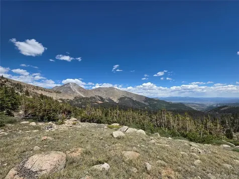 17264 Cty Road 230 Salida CO 81201
