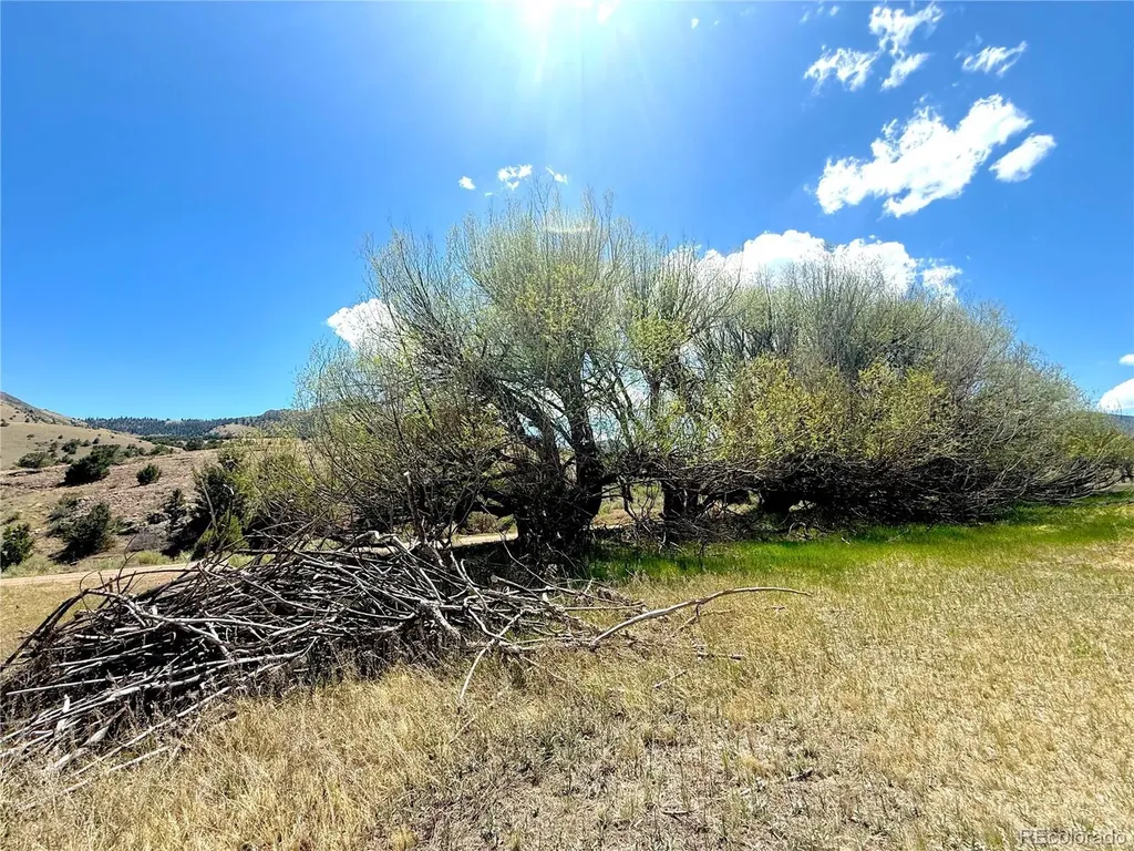 7 Elk Mountain Saguache CO 81149