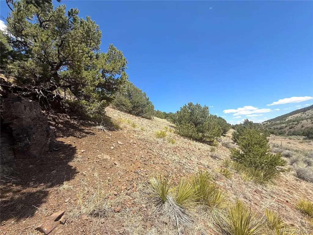 7 Elk Mountain Saguache CO 81149