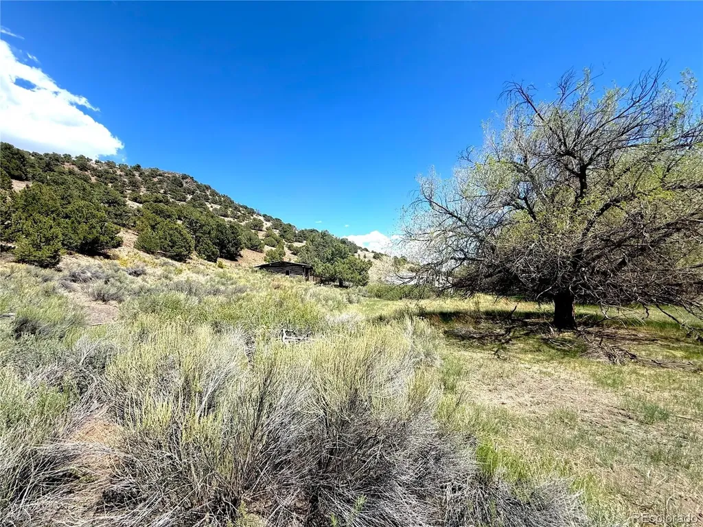 7 Elk Mountain Saguache CO 81149