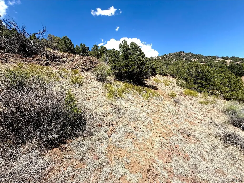7 Elk Mountain Saguache CO 81149