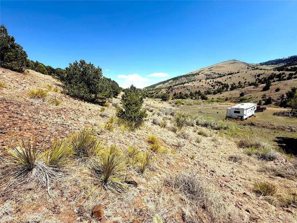 7 Elk Mountain Saguache CO 81149