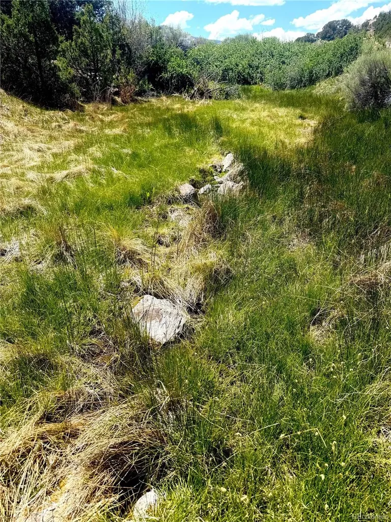 7 Elk Mountain Saguache CO 81149