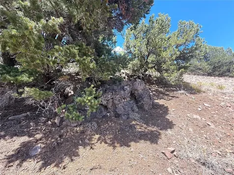 7 Elk Mountain Saguache CO 81149