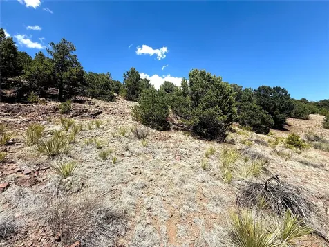 7 Elk Mountain Saguache CO 81149