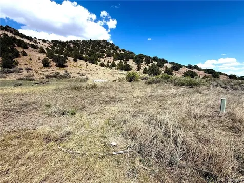7 Elk Mountain Saguache CO 81149