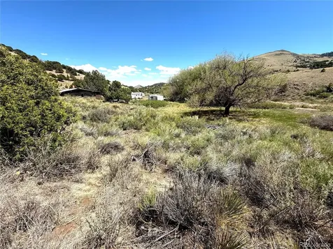7 Elk Mountain Saguache CO 81149