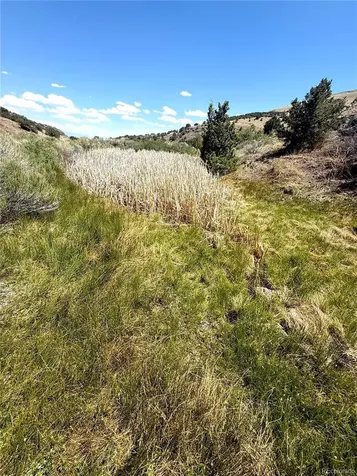 7 Elk Mountain Saguache CO 81149