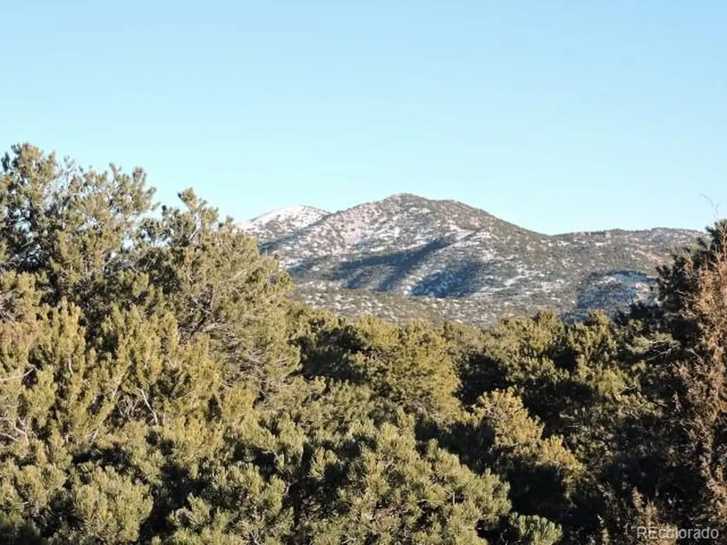 Lot 9 Cedar Avenue Blanca CO 81123