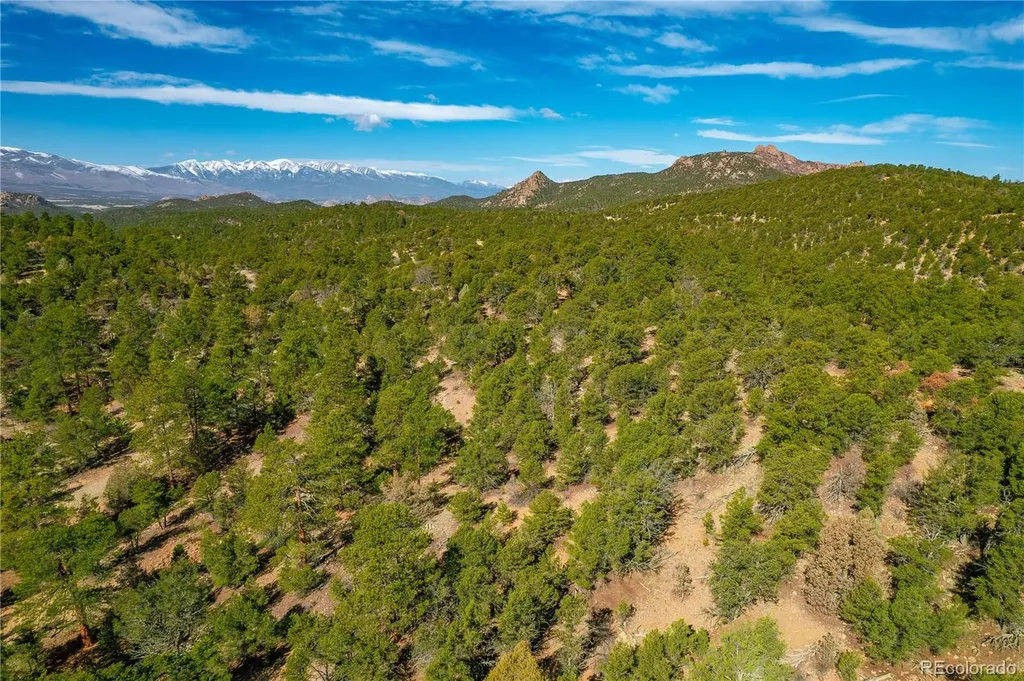 588 8th Street Cotopaxi CO 81223