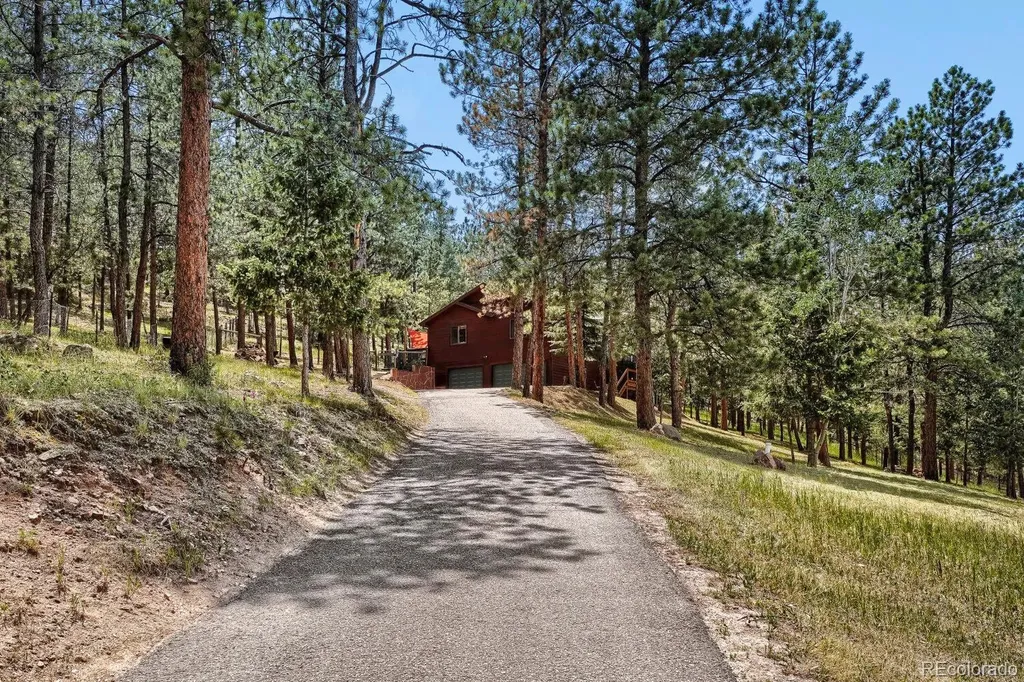 715 Mockingbird Trail Bailey CO 80421