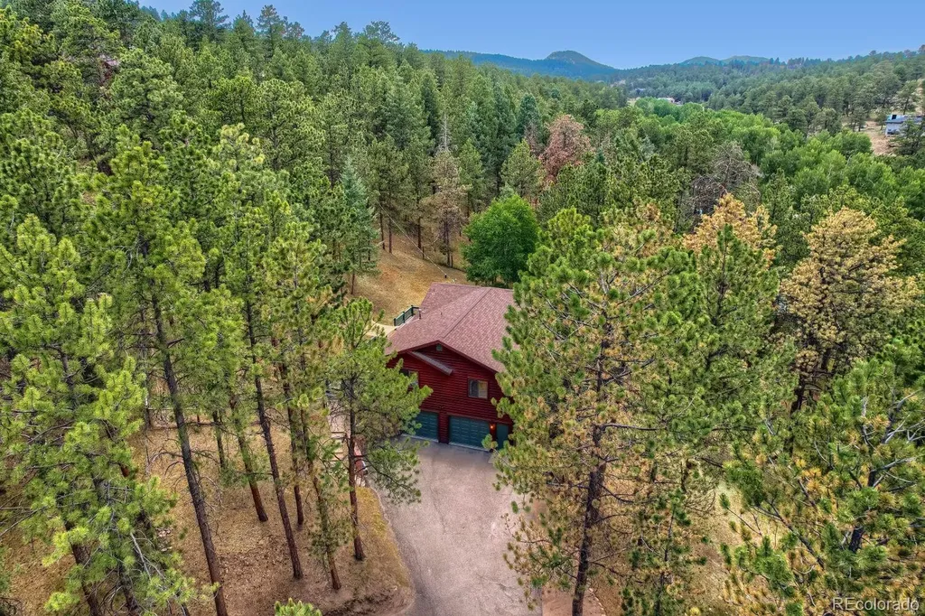 715 Mockingbird Trail Bailey CO 80421