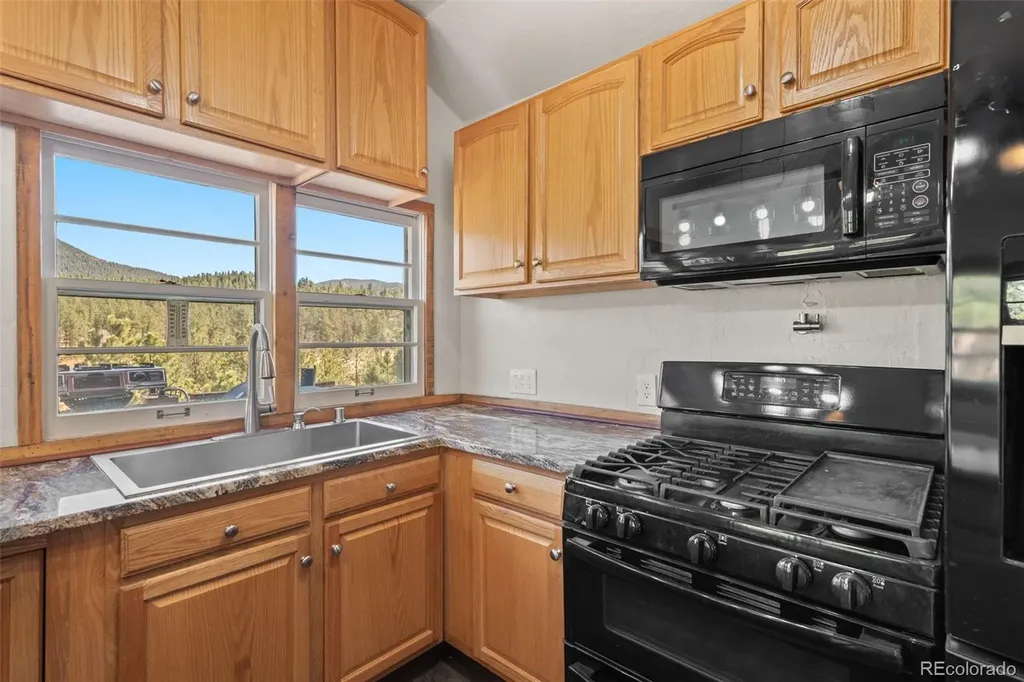88 Neal Street Bailey CO 80421