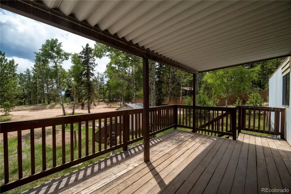 310 Blossom Road Woodland Park CO 80863