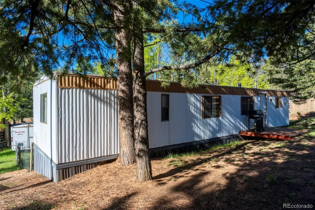 310 Blossom Road Woodland Park CO 80863
