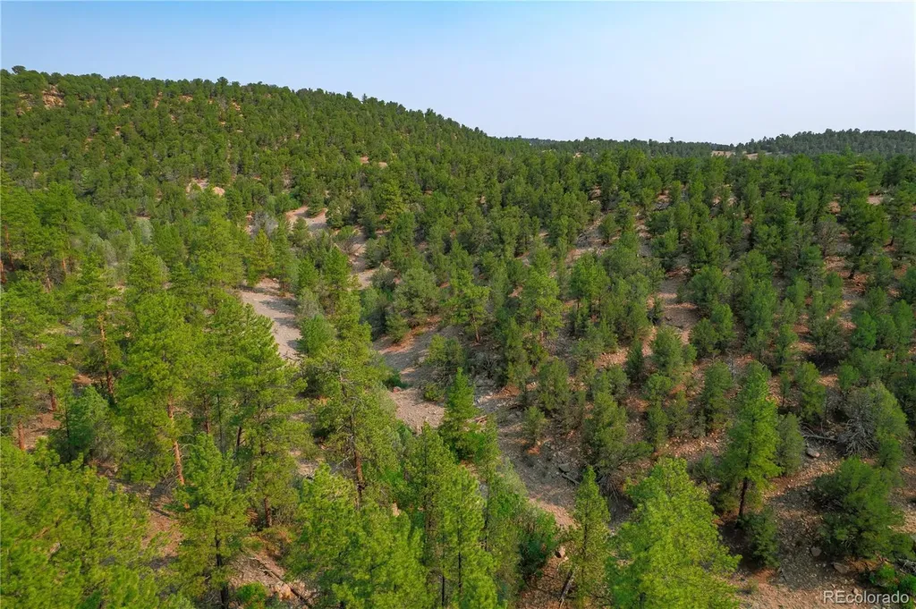 Lot 65 Elkhorn Road Cotopaxi CO 81223