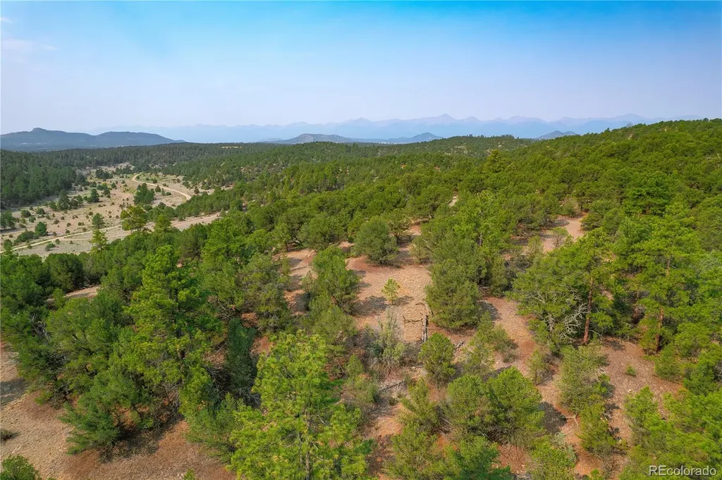 Lot 65 Elkhorn Road Cotopaxi CO 81223