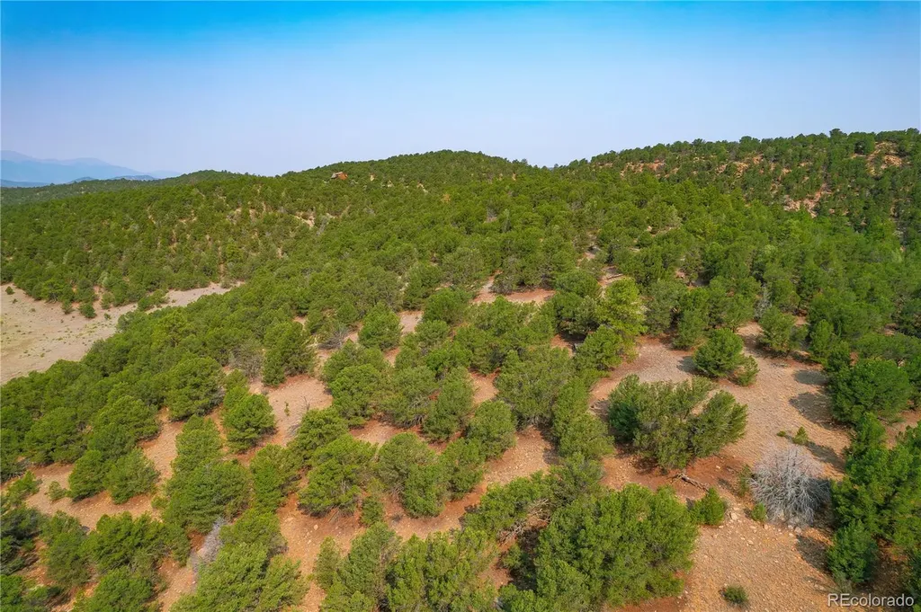 Lot 65 Elkhorn Road Cotopaxi CO 81223